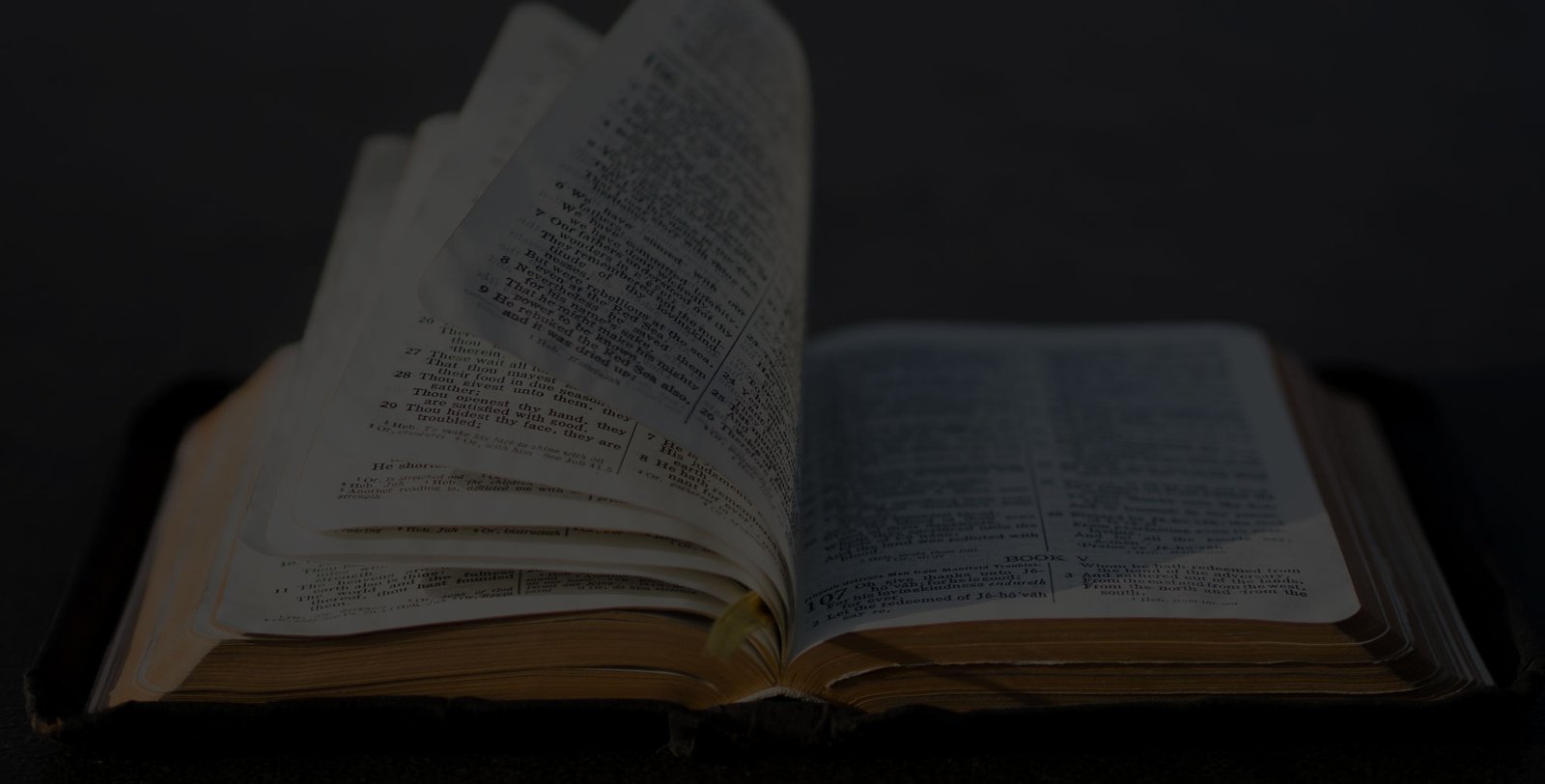 Edição 86, Ano 2021